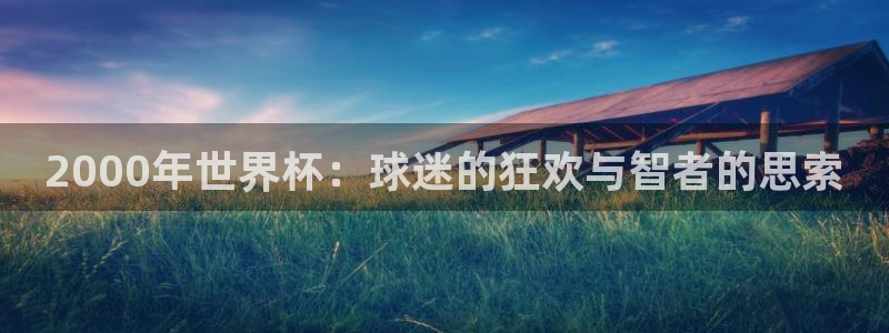 世界杯球队:2000年世界杯:球迷的狂欢与智者的思索