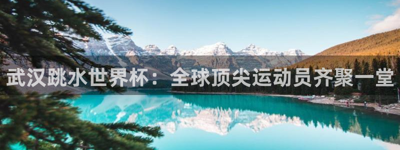 世界杯决赛直播:武汉跳水世界杯:全球顶尖运动员齐聚一堂