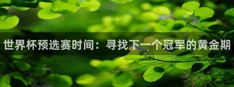 世界杯预选赛直播:世界杯预选赛时间:寻找下一个冠军的黄金期
