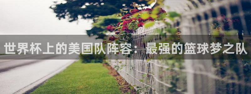 世界杯2026赛程表:世界杯上的美国队阵容:最强的篮球梦之队