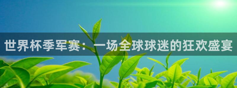 世界杯第一场比赛:世界杯季军赛:一场全球球迷的狂欢盛宴