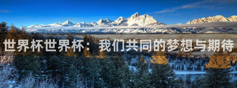 2026世界杯买球:世界杯世界杯:我们共同的梦想与期待