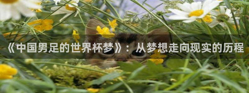 世界杯官网入口:《中国男足的世界杯梦》:从梦想走向现实的历程