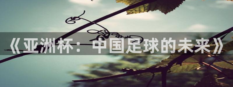 2026世界杯赛制:《亚洲杯:中国足球的未来》